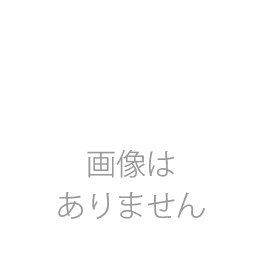 地卵はちみつぷりん 6個入